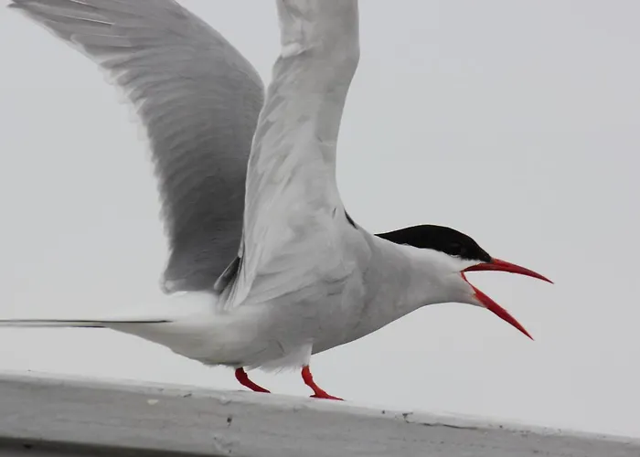 Haus Luise * Poppenbull